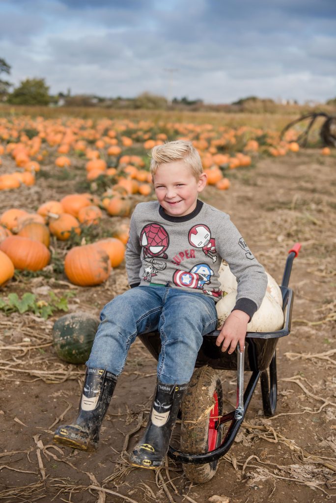 pumpkin patch mini session essex