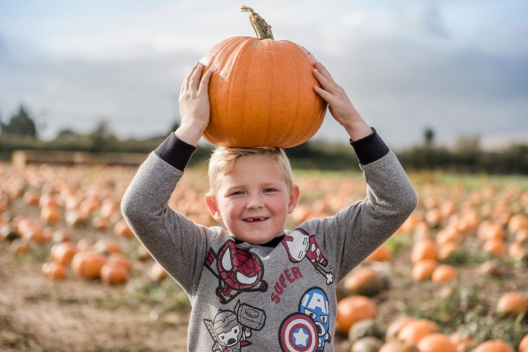 pumpkin patch mini session essex